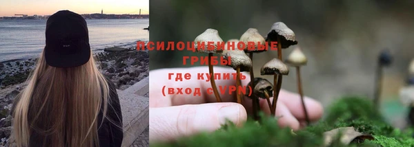 дживик Алексин