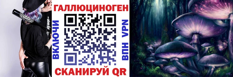 купить Фёдоровский Псилоцибиновые грибы Psilocybine cubensis